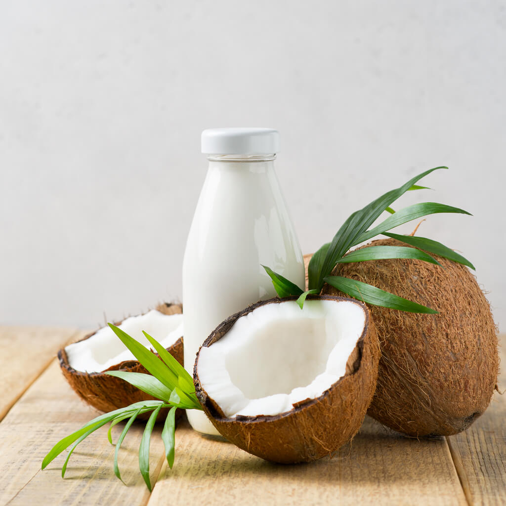 Leite de coco: benefícios que potencializam o bom funcionamento do organismo